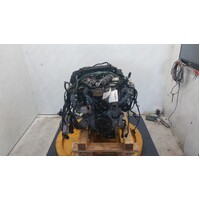 Holden Commodore Vf 3.6 Lfx  Engine