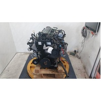 Ford Ranger Px Series 2-3 Diesel 3.2 P5at Turbo Engine