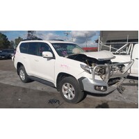 Toyota Prado 150 Series Centre Courtesy Light