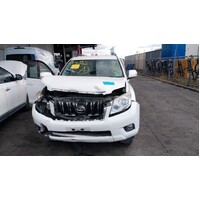 Toyota Prado 150 Series Front Courtesy Light